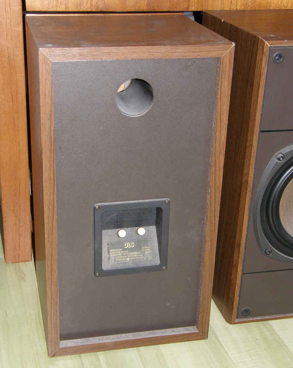 Celestion DL6