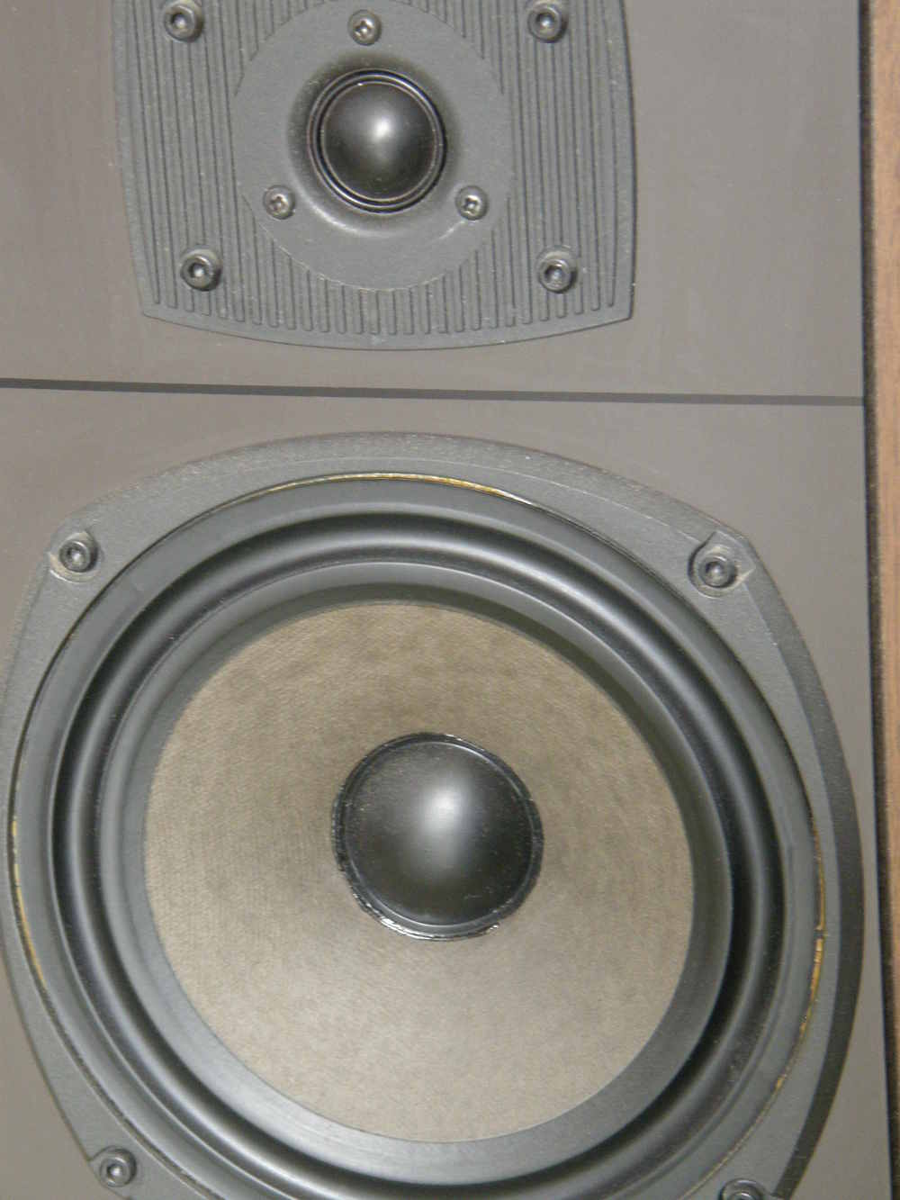 Celestion DL6