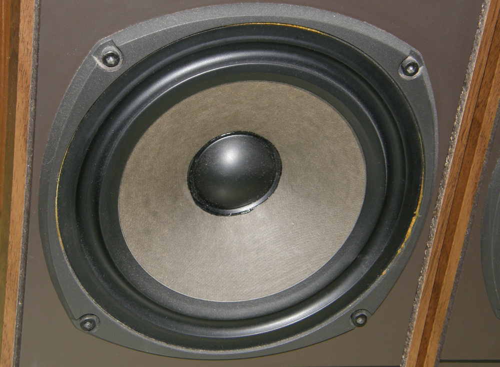 Celestion DL6 BOOMER